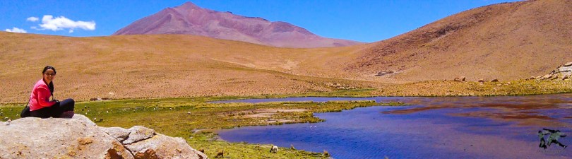 Laguna Negra (Bolívia)